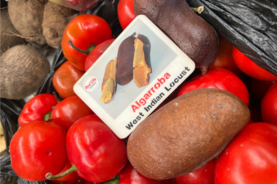 MDE Fruit Expedition - Image 5