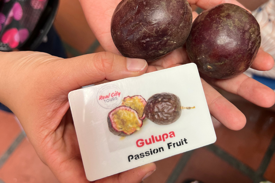 MDE Fruit Expedition - Image 3
